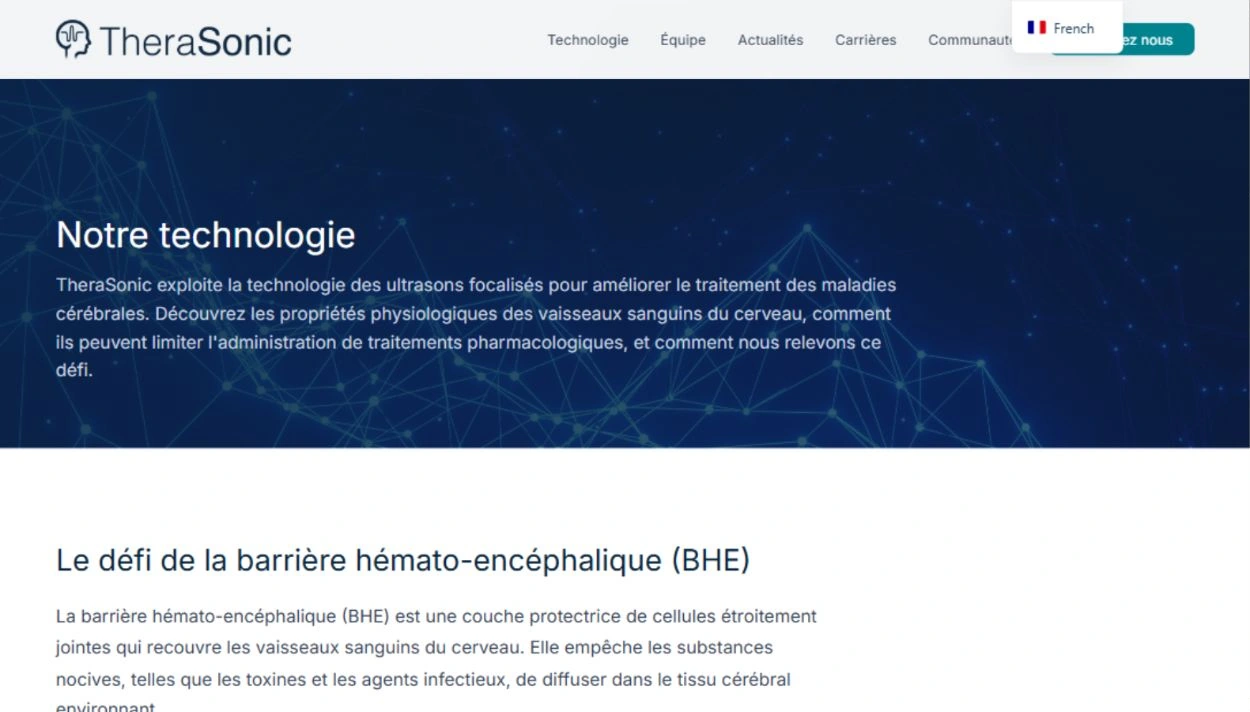 TheraSonic, Technologie